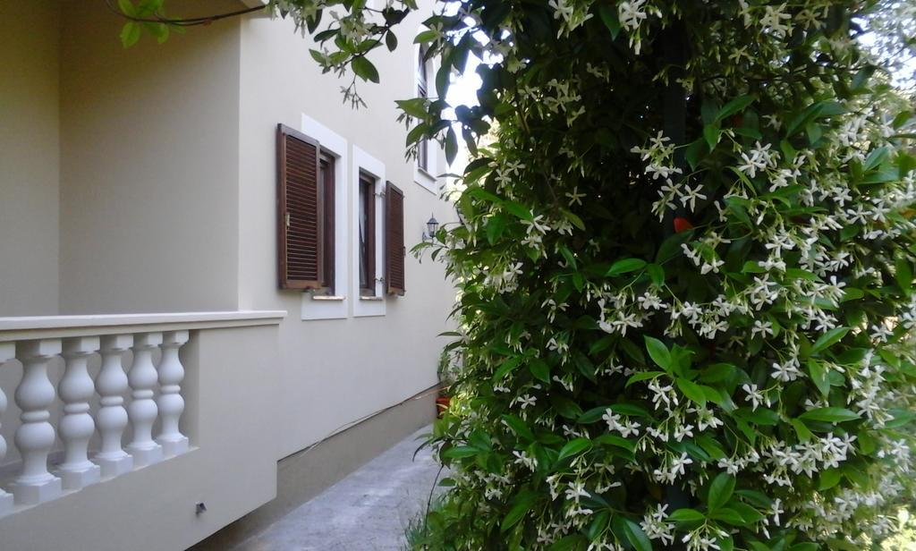 Apartments Rozelyn Ugljan Phòng bức ảnh